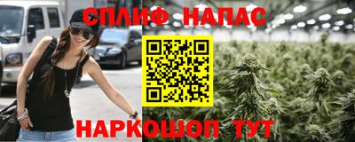 индика Новодвинск