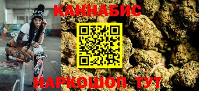 индика Новодвинск