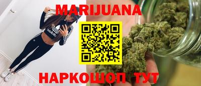 индика Новодвинск