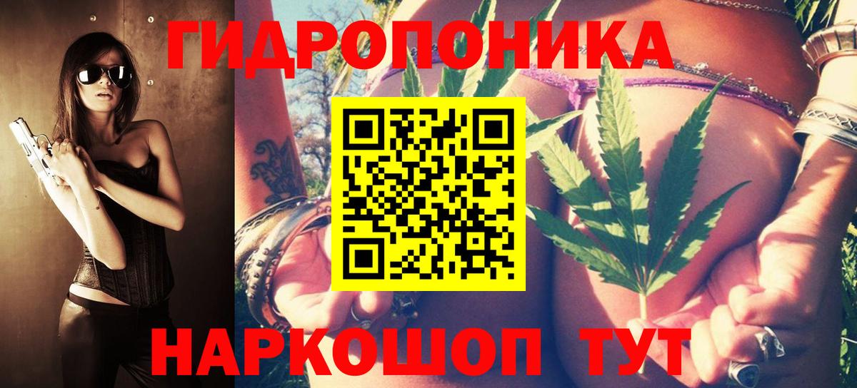 Каннабис план  МАРИХУАНА Bruce Banner  Ухта  Бошки Шишки SATIVA & INDICA  Вход с VPN 